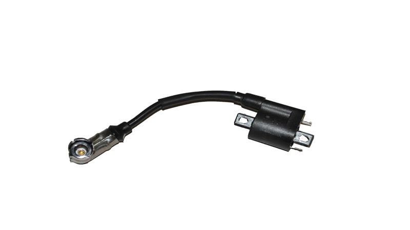 ATEŞLEME BOBİNİ (BAYBERRY125)